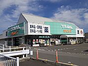 トライアル西花輪店まで1000ｍ