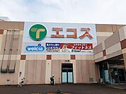【スーパー】エコス新治店まで1100ｍ