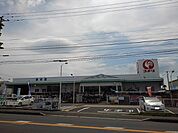 【ホームセンター】コメリハード＆グリーン綾歌店まで2200ｍ