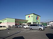 【スーパー】ディオ小松島店様まで800ｍ