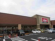 【スーパー】バロー岡崎店まで700ｍ