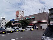 【スーパー】マルナカ善通寺店まで2400ｍ
