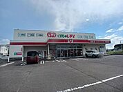 【ドラッグストア】くすりのレディ長尾店さんまで800ｍ