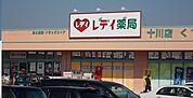 【ドラッグストア】レディ薬局十川店さんまで700ｍ