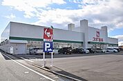 【ドラッグストア】スギドラッグ森岡店まで500ｍ