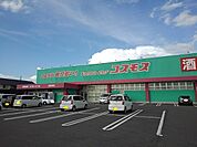 【ドラッグストア】コスモス多度津店まで1200ｍ