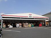【スーパー】マルス本店まで1630ｍ
