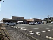 【スーパー】ロッキー清水店まで1000ｍ