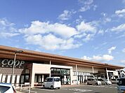 【スーパー】みやぎ生協 古川南店まで1300ｍ
