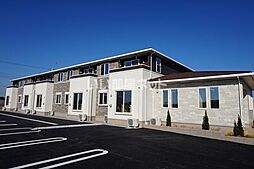 プリムローズ 102