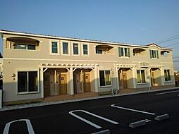 シャイニング　Ａ 202