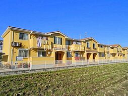 エム・フィオーレ