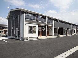 ドット　ガジュマル　Ａ