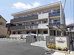 ハルズ　ＧＯＩＤＯ 202