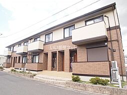 Owen Stanley(オーエンスタンレー)　B