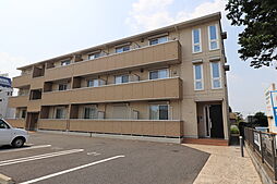 レッドウッド　II 106