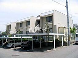 パレーシャル柳田 101