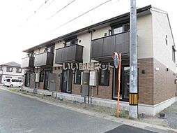 アルブル・ド・ソア