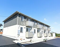 Ｄｉｎｏ　Ａ 205