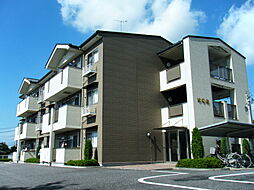 プロスペリティ・参番館 204