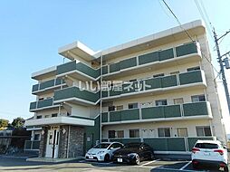 ＳＵＮ　ＡＮＧＥＬ’ｓ