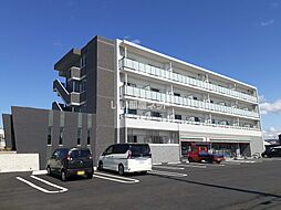 プロスペリティ 205