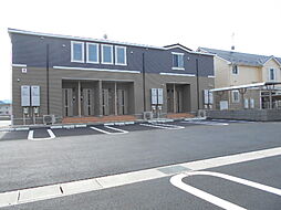 グラシオッソ　II 203