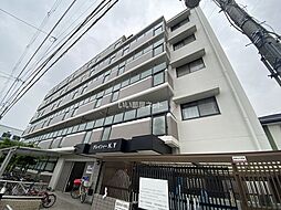 グレイシィーＫ・Ｙ 508