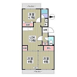 埼玉新都市交通 羽貫駅 徒歩1分の賃貸マンション 5階3DKの間取り