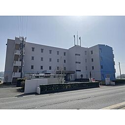 メゾンシグナス越前