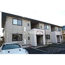 パナコートコーヨー　C 103