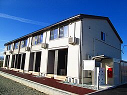 チェリーブロッサム 203