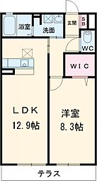 シャーメゾン千鳥 1LDKの間取図画像