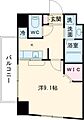 アルヴィータ新屋敷6階4.9万円
