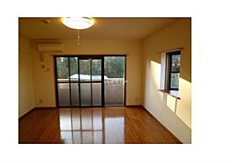 トレステーラ壱番館 305 3階1DKのリビング/ダイニング