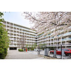 東京都品川区上大崎2丁目10-11：物件画像／大東建託リーシング株式会社 亀戸店