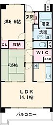 ステラコート 2LDKの間取図画像