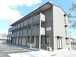 Ｇｒｅｅｎ　Ｌｉｆｅ　II 301