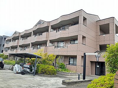 外観 外観