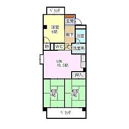 赤坪小菅ビル 2階2LDKの間取り
