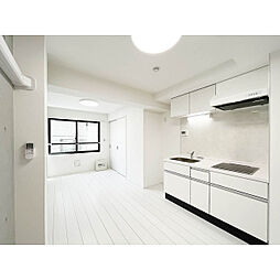 CASA PIAZZA 上野松が谷 1LDKの写真