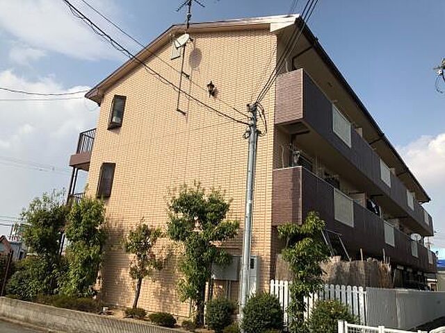 6 / 10