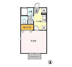 セレステ・オーリ 1階1Kの間取り