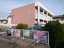 2 / 2