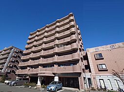 ＡＮＮＥＸ31−VI