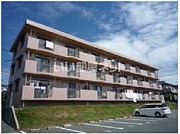 オーセンティック後藤