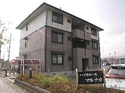 ハイカムールマルナカ