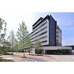 リーフシティ市川　ザ・レジデンス 910