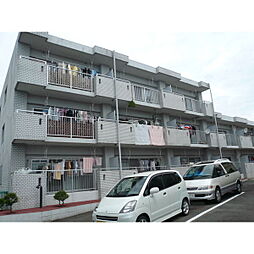 シャイン新西方