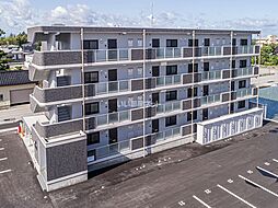 アースライト植木